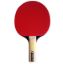 Image de Raquette de Ping Pong Cornilleau Sport 100